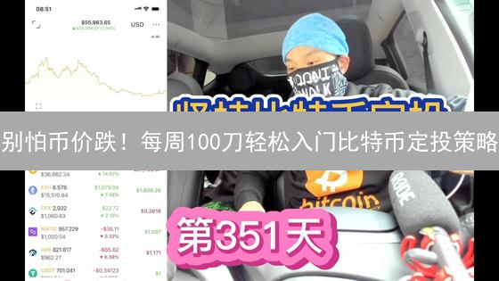 别怕币价跌！每周100刀轻松入门比特币定投策略