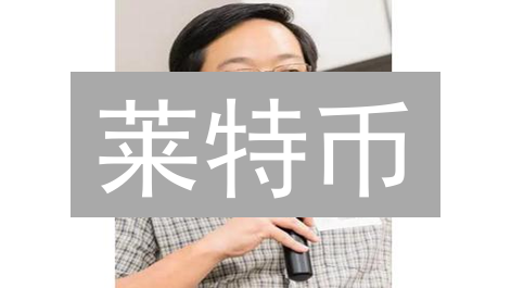 莱特币：长期持有与短期投资策略分析及风险评估