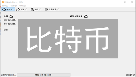 比特币：去中心化支付、货币竞争与加密乌托邦的未来