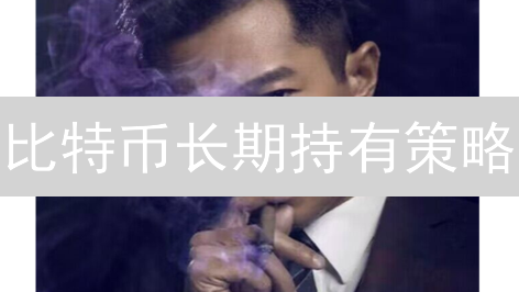 比特币长期持有策略：穿越周期，静待花开 (深度分析)