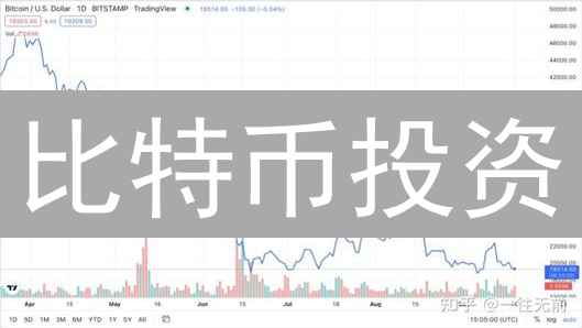 比特币投资：如何评估市场风险与应对策略