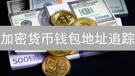 加密货币钱包地址追踪：解读与工具应用详解