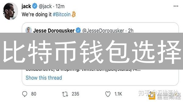 比特币钱包选择：硬件钱包与软件钱包深度解析