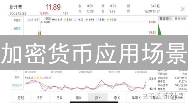 加密货币应用场景：支付、投资，哪个更具潜力？未来发展如何？