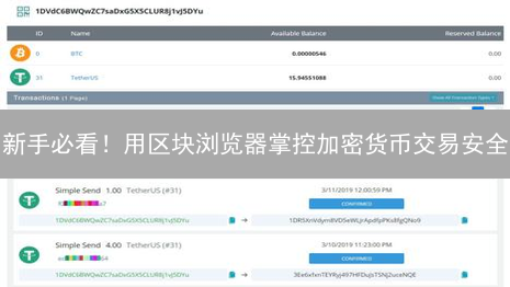 新手必看！用区块浏览器掌控加密货币交易安全
