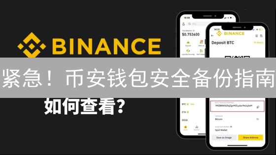 紧急！币安钱包安全备份指南：资产防丢，刻不容缓！