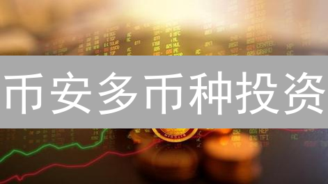 币安多币种投资：新手也能轻松掌握的财富密码！