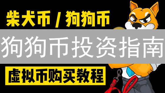 狗狗币投资指南：火币购买全攻略，新手必看！