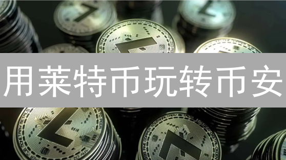 用莱特币玩转币安：付款姿势全攻略，省钱又高效！