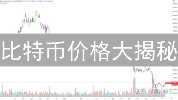 比特币价格大揭秘：十年涨跌，谁在操盘？