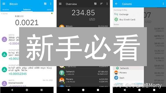 新手必看：2024年BTC/DOGE钱包选择攻略，安全存储数字资产！