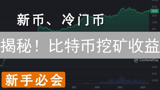 揭秘！比特币挖矿收益：普通人也能赚？2024年最新内幕曝光！