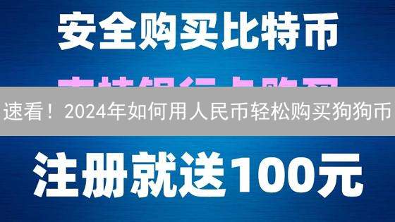 速看！2024年如何用人民币轻松购买狗狗币？避坑指南！
