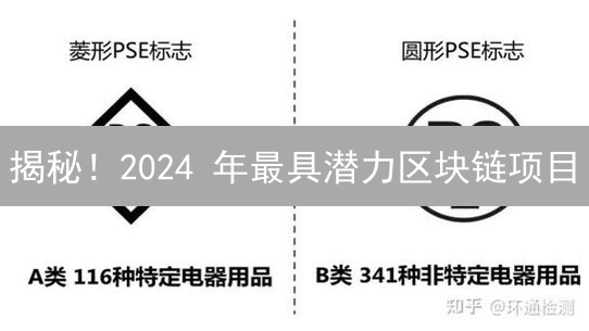 揭秘！2024 年最具潜力区块链项目：这几个标准帮你掘金！