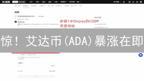 惊！艾达币(ADA)暴涨在即？新手OKX交易指南，错过血亏！