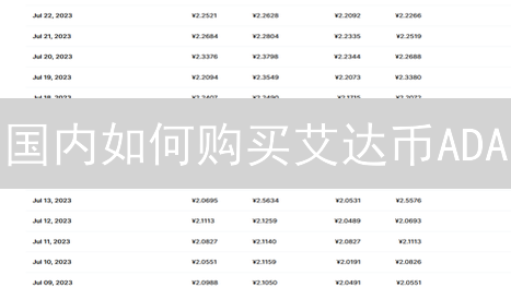 国内如何购买艾达币ADA？P2P交易平台选择与实操指南