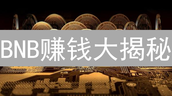 BNB赚钱大揭秘：10招教你玩转币安币，躺赚被动收入！