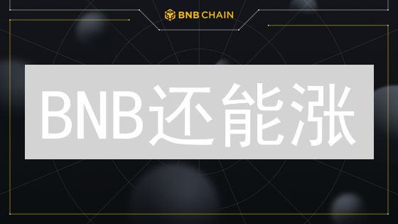 BNB还能涨？币安币未来价值深度解析！【2024最新】