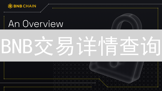 BNB交易详情查询：区块链浏览器使用指南与BSCScan详解