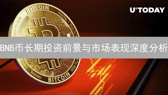 BNB币长期投资前景与市场表现深度分析