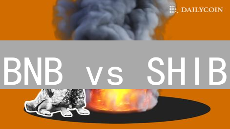 BNB vs SHIB：投资前必看！揭秘两者关键差异与风险【深度解析】