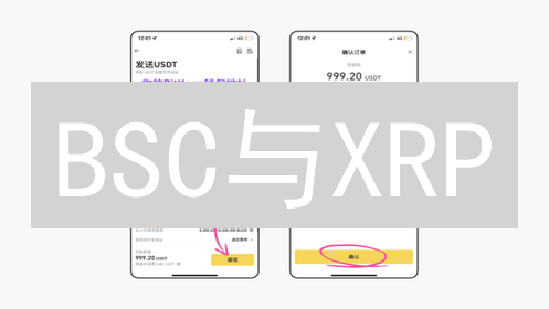BSC与XRP：生态系统与支付协议之争 (15-30字)