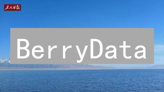 BerryData：币安智能链DeFi数据新纪元？速览！