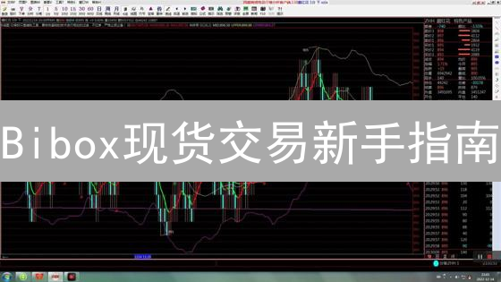 Bibox现货交易新手指南：注册、充值、交易与提现详解