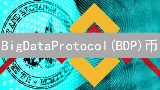 BigDataProtocol(BDP)币：哪里购买最安全？购买渠道分析