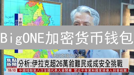 BigONE加密货币钱包：选择指南与安全考量