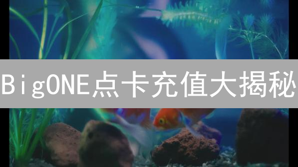 BigONE点卡充值大揭秘：避坑指南，新手必看！
