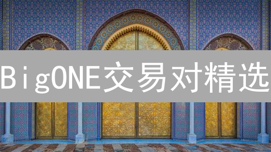 BigONE交易对精选：抓住暴富机遇，新手必看攻略！