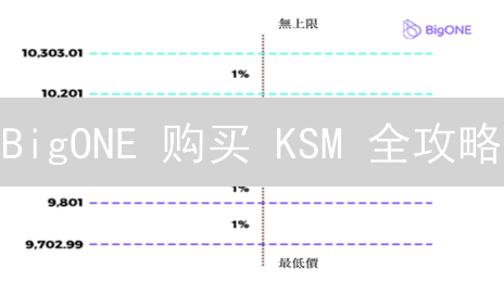 BigONE 购买 KSM 全攻略：注册、认证、充值，手把手教你！