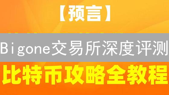 Bigone交易所深度评测：机遇与挑战并存？【2024最新】