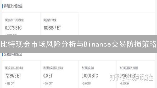 比特现金市场风险分析与Binance交易防损策略