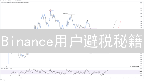 Binance用户避税秘籍：让你的加密货币收益更上一层楼？