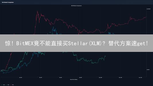 惊！BitMEX竟不能直接买Stellar(XLM)? 替代方案速get!