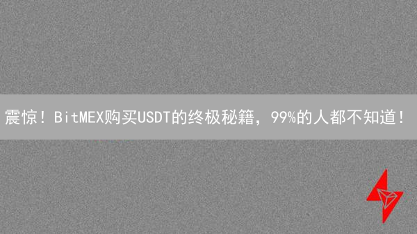 震惊！BitMEX购买USDT的终极秘籍，99%的人都不知道！
