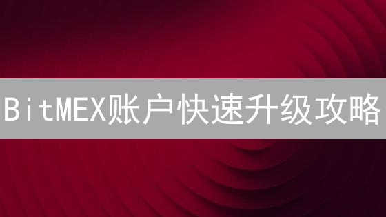 BitMEX账户快速升级攻略：交易额度提升，高级功能解锁！