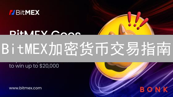 BitMEX加密货币交易指南：币种选择、风险控制与策略精析