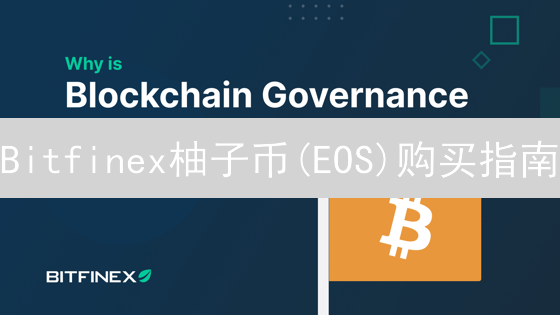 Bitfinex柚子币(EOS)购买指南：法币充值，轻松上手！