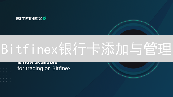 Bitfinex银行卡添加与管理：法币出入金指南