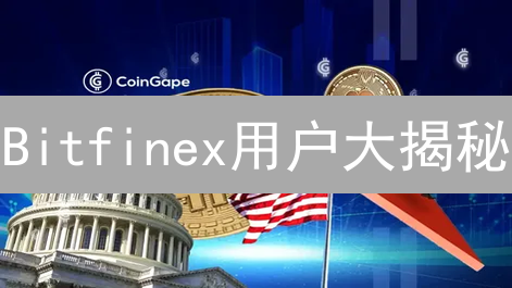 Bitfinex用户大揭秘：谁在玩转这场加密游戏？