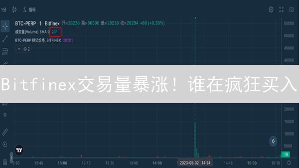 Bitfinex交易量暴涨！谁在疯狂买入？揭秘市场异动！