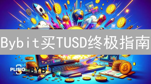 Bybit买TUSD终极指南：策略、技巧与风险控制，新手必看！