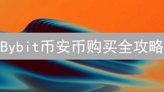 Bybit币安币购买全攻略：手续费、策略、VIP等级详解！🚀