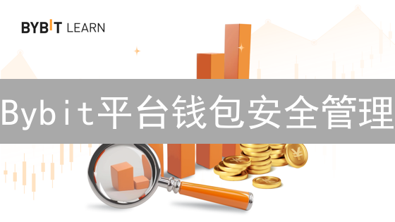 Bybit平台钱包安全管理：深度解析与实战指南