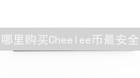 哪里购买Cheelee币最安全？购买指南与风险防范