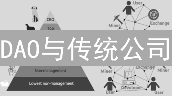 DAO与传统公司：权力、透明度与激励机制的重塑分析