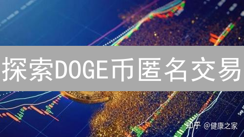 探索DOGE币匿名交易：原理、方法与挑战分析